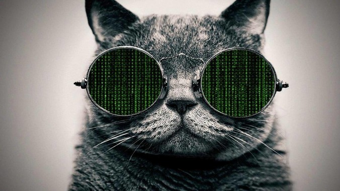 为什么 Linux 软件安装包会有依赖关系，而 Windows 软件安装包不需要？
